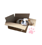 riro②（個別スタンプ：1）
