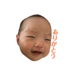 すちゃん①（個別スタンプ：11）