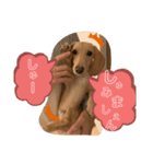 くーすけのつぶやき（個別スタンプ：8）