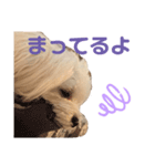 Tinoくんスタンプ(あいさつ)（個別スタンプ：4）