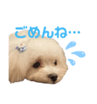 Tinoくんスタンプ(あいさつ)（個別スタンプ：8）