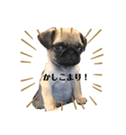 仁です！！（個別スタンプ：7）