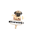 仁です！！（個別スタンプ：13）