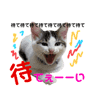 ひじき＆がんも2（個別スタンプ：2）