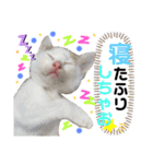 ひじき＆がんも2（個別スタンプ：3）