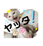 ひじき＆がんも2（個別スタンプ：8）