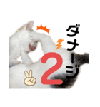 ひじき＆がんも2（個別スタンプ：11）