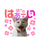 ひじき＆がんも2（個別スタンプ：16）