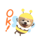 ぽんぴーち（個別スタンプ：6）