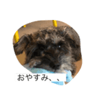 若林家の可愛い子たち（個別スタンプ：3）