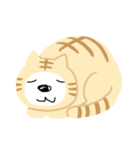 笑顔のないクマさん（個別スタンプ：5）