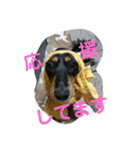 おとぼけカノンちゃん（個別スタンプ：10）