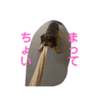 おとぼけカノンちゃん（個別スタンプ：11）
