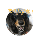 おとぼけカノンちゃん（個別スタンプ：16）