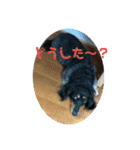 おとぼけカノンちゃん（個別スタンプ：22）