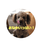 ショコラスタンプ！！（個別スタンプ：7）