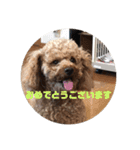 ショコラスタンプ！！（個別スタンプ：14）