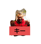 おもしろオヤジ2（個別スタンプ：13）