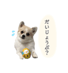 ぽっちゃん＆ベアちゃん（個別スタンプ：1）