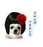 ぽっちゃん＆ベアちゃん（個別スタンプ：4）
