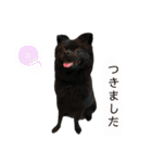 ぽっちゃん＆ベアちゃん（個別スタンプ：10）