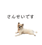 ぽっちゃん＆ベアちゃん（個別スタンプ：14）