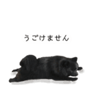 ぽっちゃん＆ベアちゃん（個別スタンプ：27）