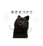 ぽっちゃん＆ベアちゃん（個別スタンプ：30）