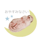 ハリネズミのしめじちゃん（個別スタンプ：2）