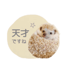 ハリネズミのしめじちゃん（個別スタンプ：8）