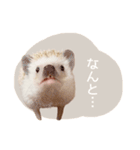 ハリネズミのしめじちゃん（個別スタンプ：11）