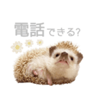 ハリネズミのしめじちゃん（個別スタンプ：15）
