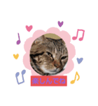 ふんコロチャ2（個別スタンプ：3）