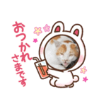 ふんコロチャ2（個別スタンプ：5）