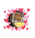 ふんコロチャ2（個別スタンプ：6）