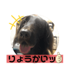 くーとあくび（個別スタンプ：2）