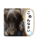 くーとあくび（個別スタンプ：7）