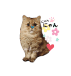 もこもこつー（個別スタンプ：1）
