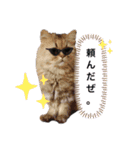 もこもこつー（個別スタンプ：2）