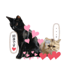 もこもこつー（個別スタンプ：3）