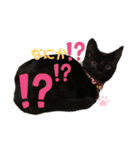 もこもこつー（個別スタンプ：5）