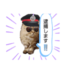 もこもこつー（個別スタンプ：9）