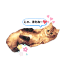もこもこつー（個別スタンプ：10）