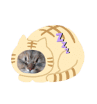 もこもこつー（個別スタンプ：11）