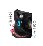 もこもこつー（個別スタンプ：12）
