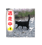 もこもこつー（個別スタンプ：15）
