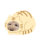 うちの子みるく。（個別スタンプ：6）