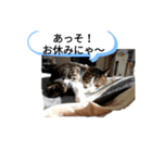 なんと…なく（個別スタンプ：1）