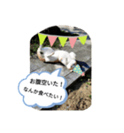 なんと…なく（個別スタンプ：5）