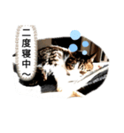 なんと…なく（個別スタンプ：7）